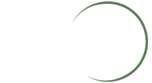 Intenso Interim Management