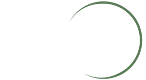 Intenso Interim Management